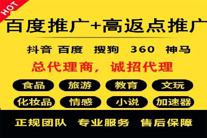 Sem优化公司案例：打造高效广告投放策略
